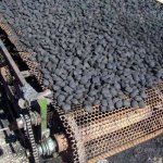 coal briquettes on a belt