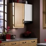 Geyser in the interior