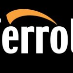 Ferroli gas boilers: review, reviews, faults