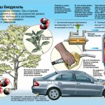 Use of biofuels in the world