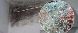 picture of mold on the balcony