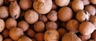 Expanded clay