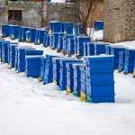 Мероприятия по подготовке пчел к зимовке