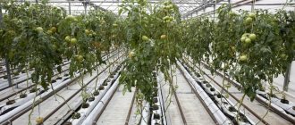 heating of industrial greenhouses