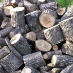 Распиленный дуб