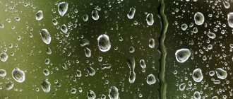 Dew point